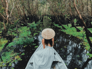 Du Lịch Rừng Tràm Trà Sư: Cẩm Nang Khám Phá Mùa Nước Nổi Đẹp Như Tranh