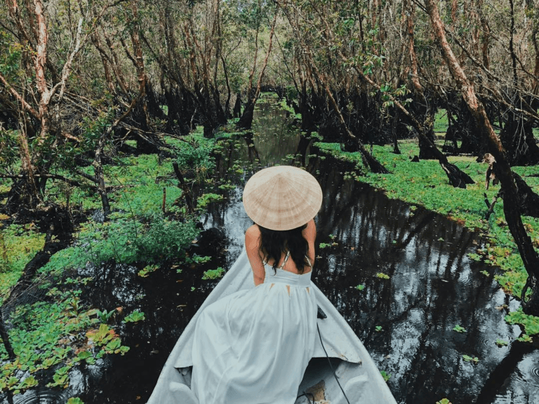 Du Lịch Rừng Tràm Trà Sư: Cẩm Nang Khám Phá Mùa Nước Nổi Đẹp Như Tranh