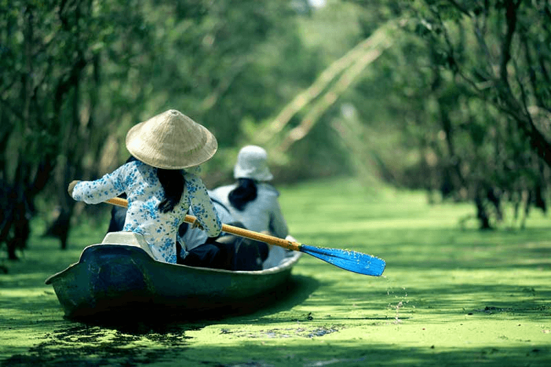 Chèo xuồng ba lá len lỏi giữa dòng kênh xanh mát rừng tràm Trà Sư