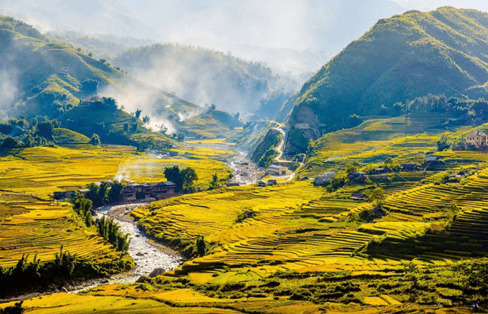 Thung lũng Mường Hoa Sapa mùa lúa chín vàng óng bên suối nhỏ