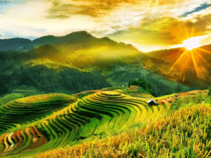 SaPa Mùa Thu Có Gì Đẹp? Trọn Bộ Bí Kíp Khám Phá Xứ Sở Sương Mù