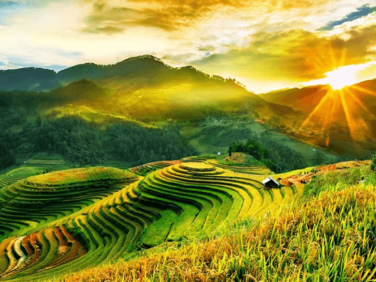 SaPa Mùa Thu Có Gì Đẹp? Trọn Bộ Bí Kíp Khám Phá Xứ Sở Sương Mù