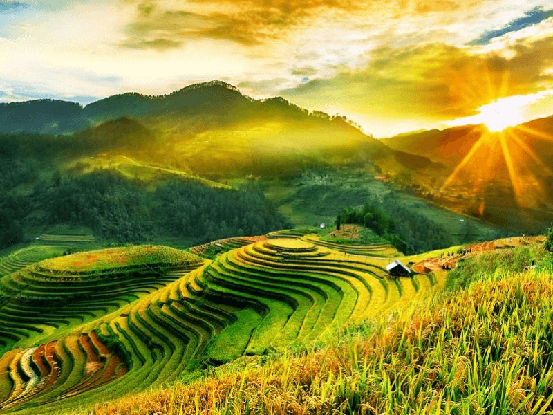 SaPa Mùa Thu Có Gì Đẹp? Trọn Bộ Bí Kíp Khám Phá Xứ Sở Sương Mù
