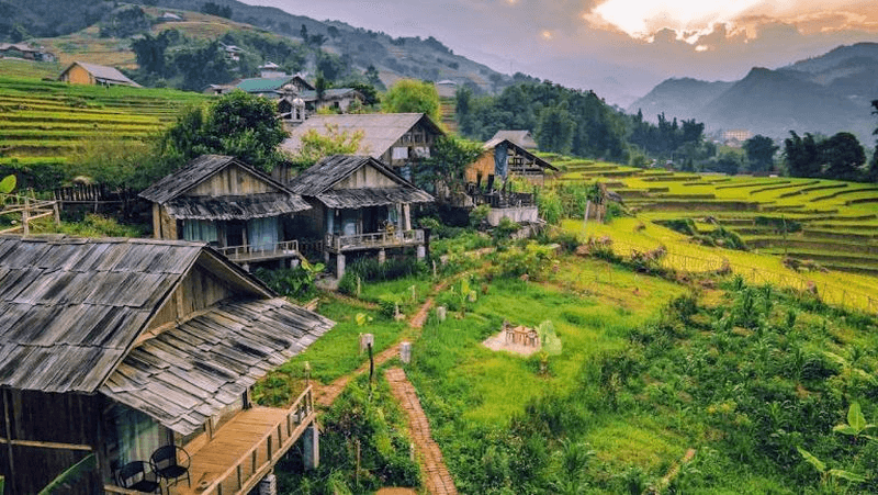 Homestay nhà gỗ mộc mạc nhìn ra ruộng bậc thang Tả Van Sapa