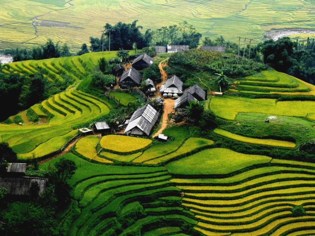 Bản Ý Linh Hồ bình yên giữa thung lũng ruộng bậc thang Sapa
