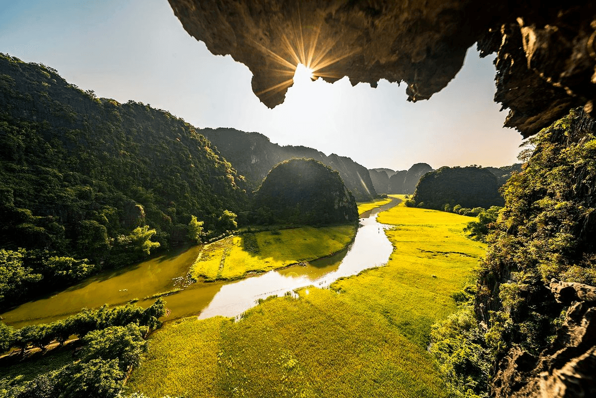 Hang Cả Tam Cốc nhìn ra dòng sông Ngô Đồng và cánh đồng lúa vàng