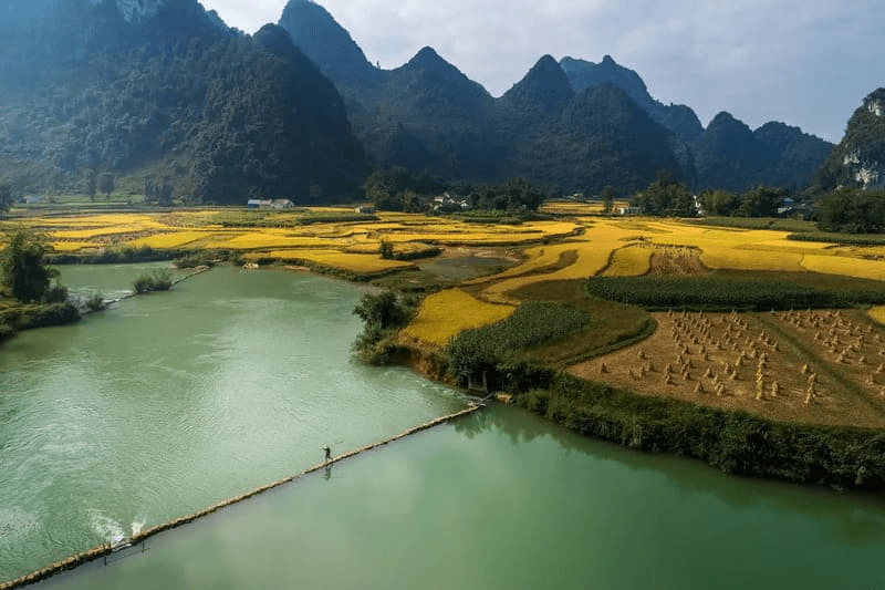 Dòng sông Quây Sơn xanh ngọc bích uốn quanh cánh đồng lúa chín Trùng Khánh
