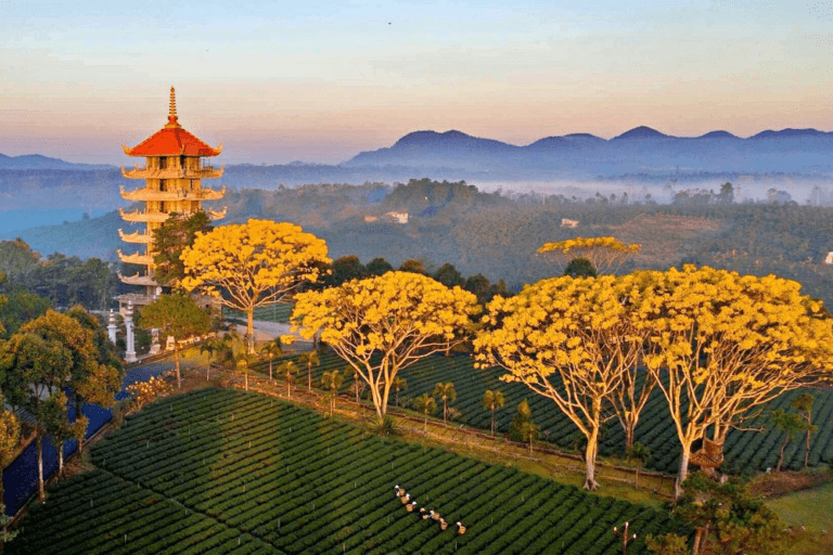 Tour Hành Hương: Cảnh Chùa Bảo Lộc – 1 Ngày - SGHH-005