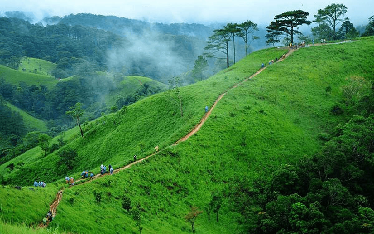 Tiếp tục hành trình trekking rừng Phan Dũng