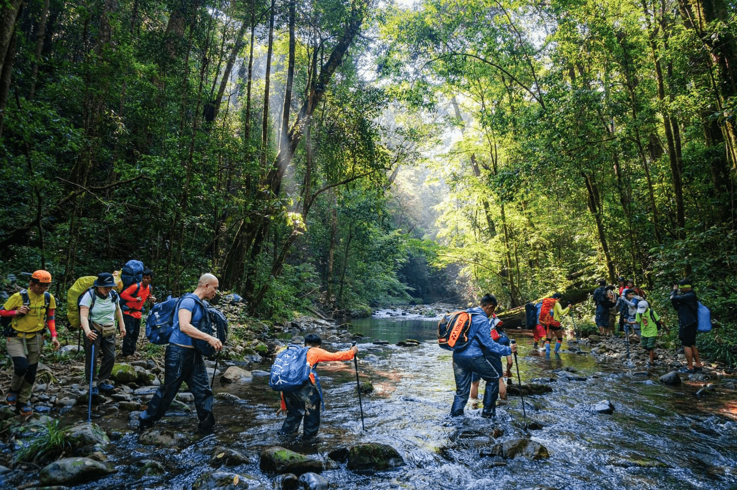 Đoàn trekking băng qua cánh rừng nguyên sinh thuộc vườn quốc gia BiDoup