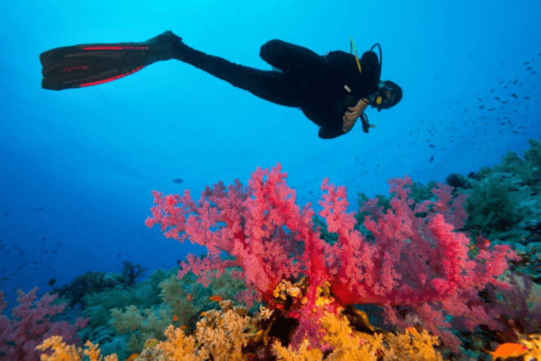 Tour Vịnh Bắc Vân Phong – Ninh Đảo 2N3D - SGTK-006