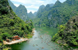 Cẩm Nang Khám Phá Tràng An Mới Nhất: Trọn Bộ Bí Kíp Vi Vu Di Sản Thế Giới