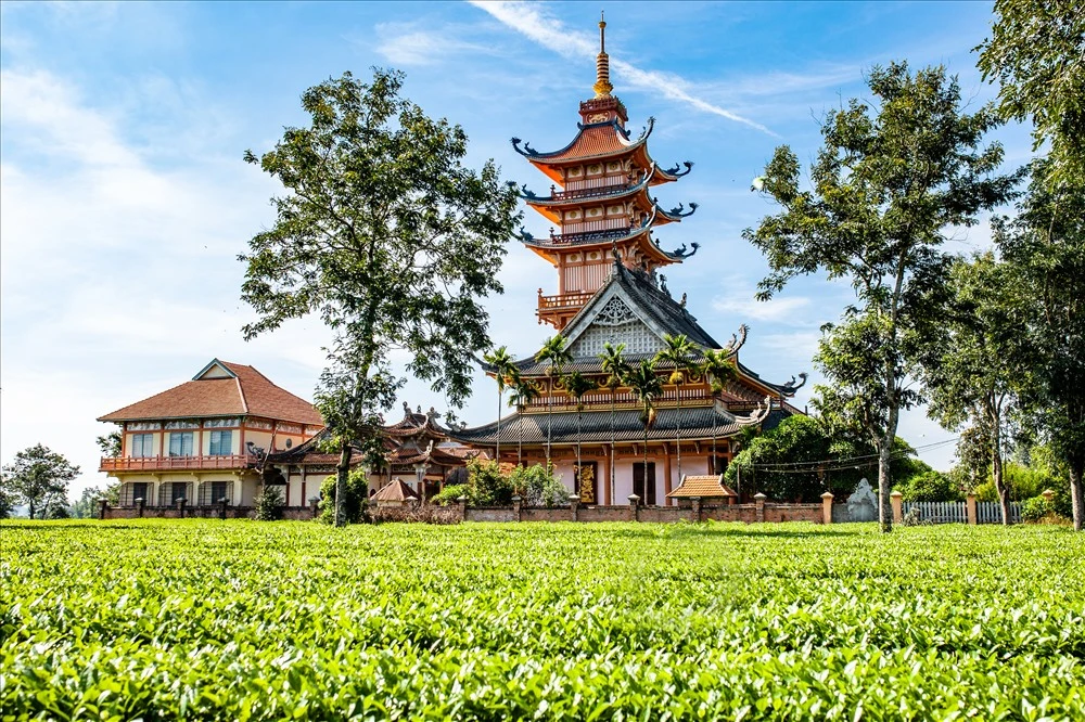 Chùa Bửu Minh thanh tịnh với ngọn tháp cao vút giữa đồi chè Biển Hồ