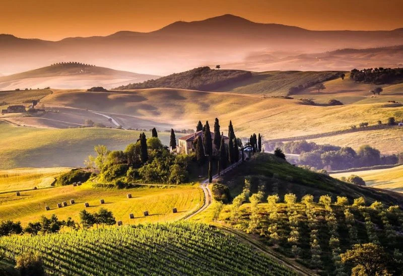 Đồi nho và trang trại vùng Tuscany nước Ý rực rỡ trong nắng chiều vàng