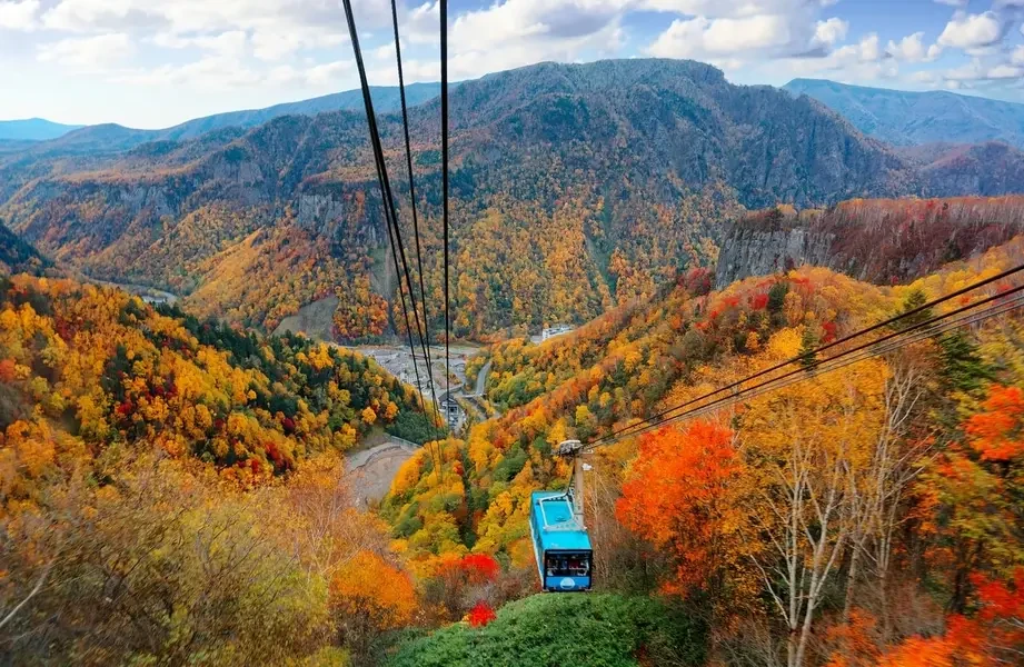 Cáp treo Kurodake lướt qua thung lũng lá phong đỏ rực mùa thu Hokkaido