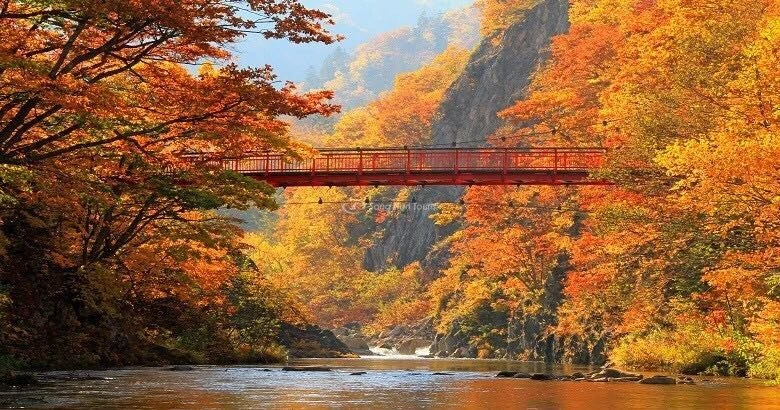 Cầu treo đỏ bắc qua hẻm núi Jozankei ngập tràn sắc lá vàng Hokkaido