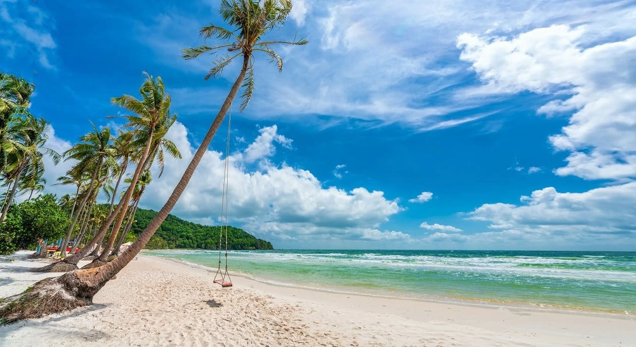 Xích đu gỗ dưới hàng dừa nghiêng bên bờ cát trắng Bãi Sao Phú Quốc